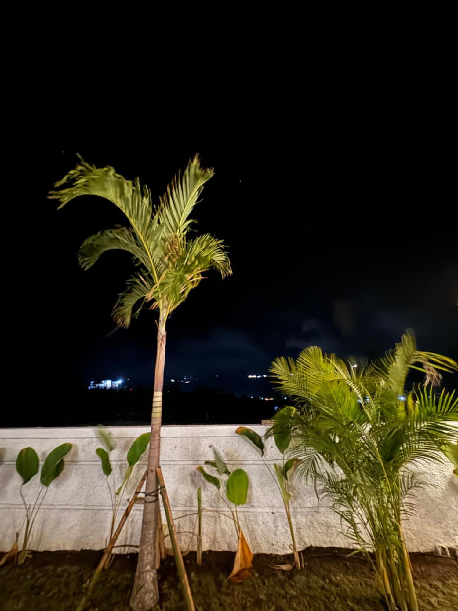 Volcano Cottages クブペンロカン エクステリア 写真
